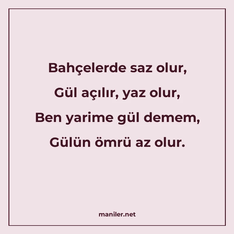 Bahçelerde saz olur, Gül açılır, yaz olur, Ben yarime gül de manisi görseli