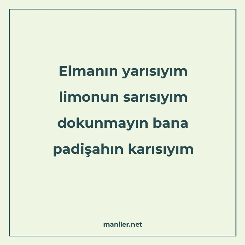 Elmanın yarısıyım limonun sarısıyım dokunmayın bana padişahı manisi görseli
