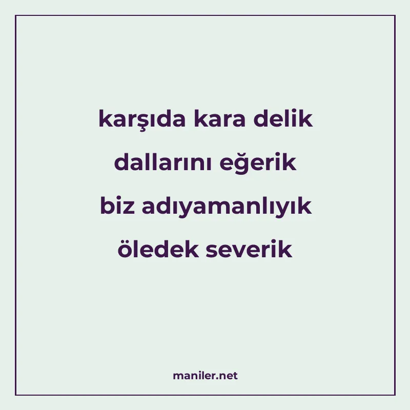karşıda kara delik dallarını eğerik biz adıyamanlıyık öledek manisi görseli