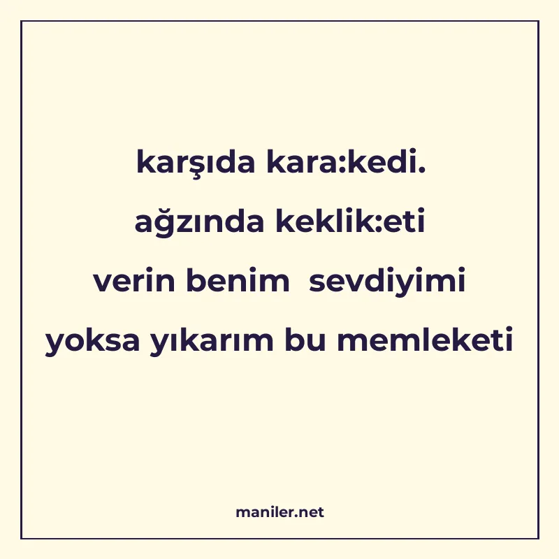 karşıda kara:kedi. ağzında keklik:eti verin benim sevdiyimi manisi görseli