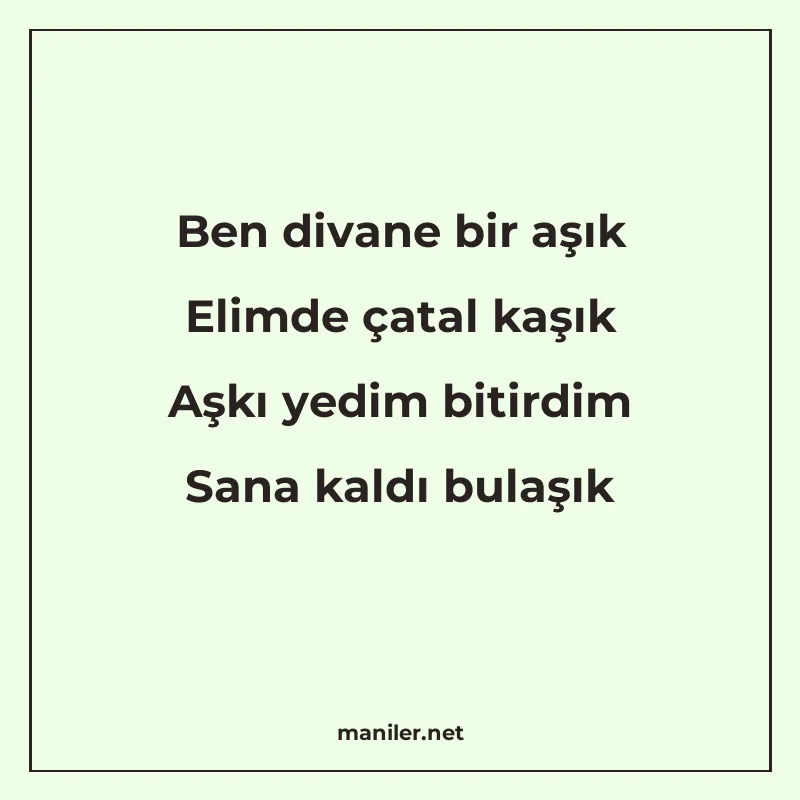 Ben divane bir aşık Elimde çatal kaşık Aşkı yedim bitirdim S manisi görseli