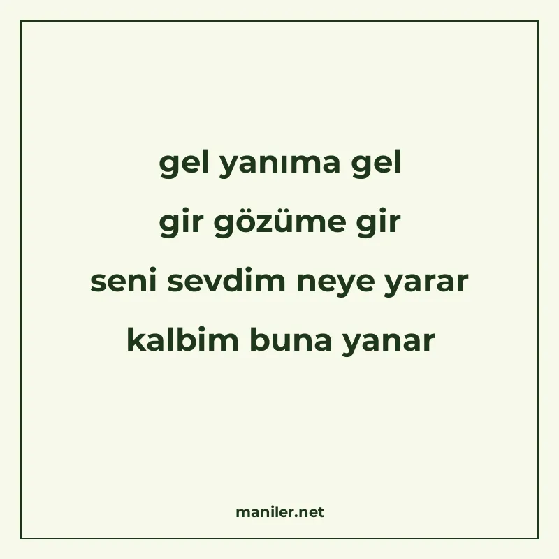 gel yanıma gel gir gözüme gir seni sevdim neye yarar kalbim manisi görseli