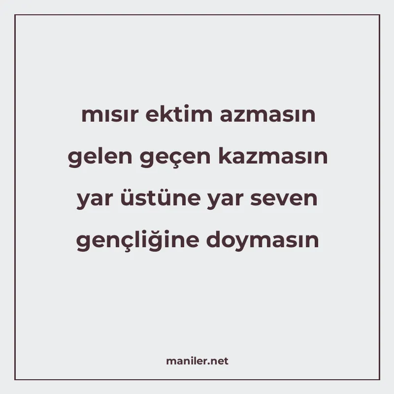 mısır ektim azmasın gelen geçen kazmasın yar üstüne yar seve manisi görseli