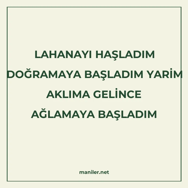 LAHANAYI HAŞLADIM DOĞRAMAYA BAŞLADIM YARİM AKLIMA GELİNCE AĞ manisi görseli