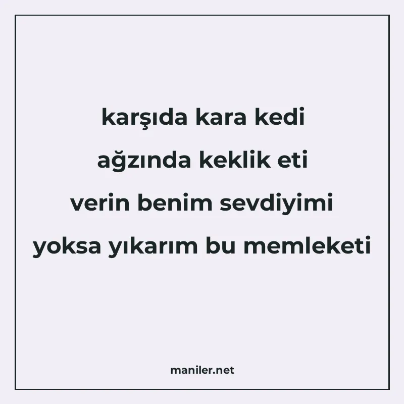 karşıda kara kedi ağzında keklik eti verin benim sevdiyimi y manisi görseli