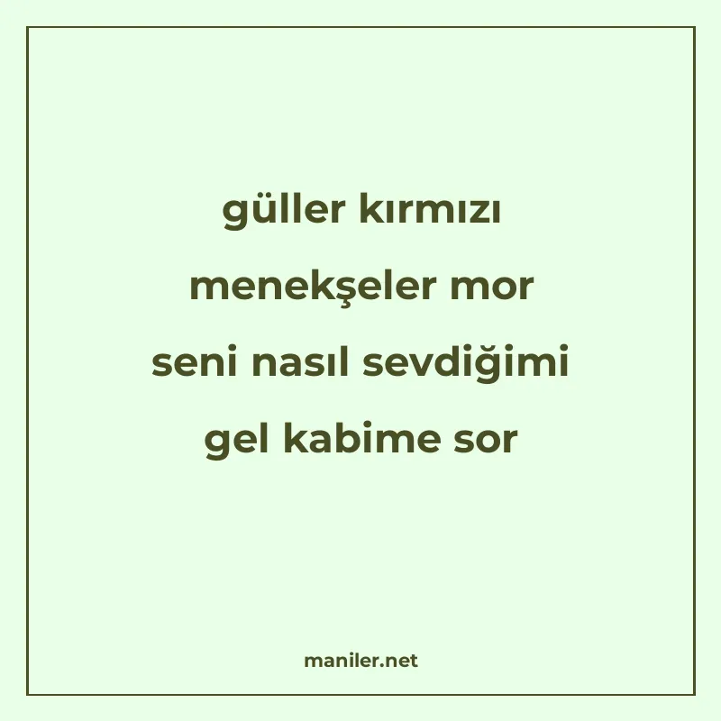 güller kırmızı menekşeler mor seni nasıl sevdiğimi gel kabim manisi görseli