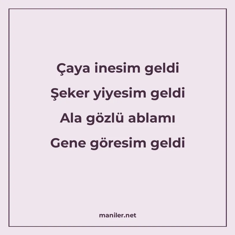 Çaya inesim geldi Şeker yiyesim geldi Ala gözlü ablamı Gene manisi görseli