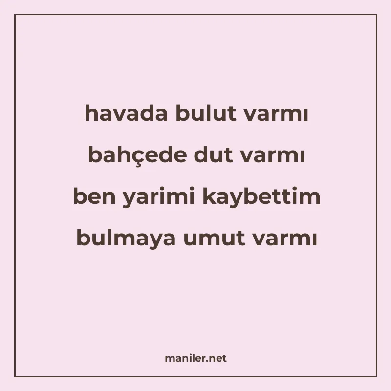 havada bulut varmı bahçede dut varmı ben yarimi kaybettim bu manisi görseli