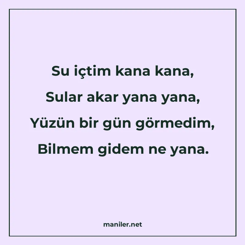 Su içtim kana kana, Sular akar yana yana, Yüzün bir gün görm manisi görseli
