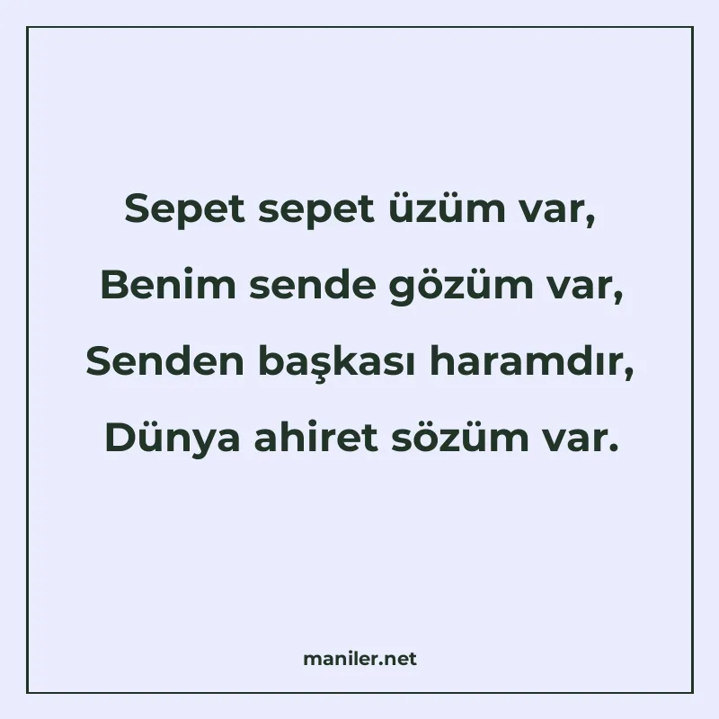 Sepet sepet üzüm var, Benim sende gözüm var, Senden başkası manisi görseli