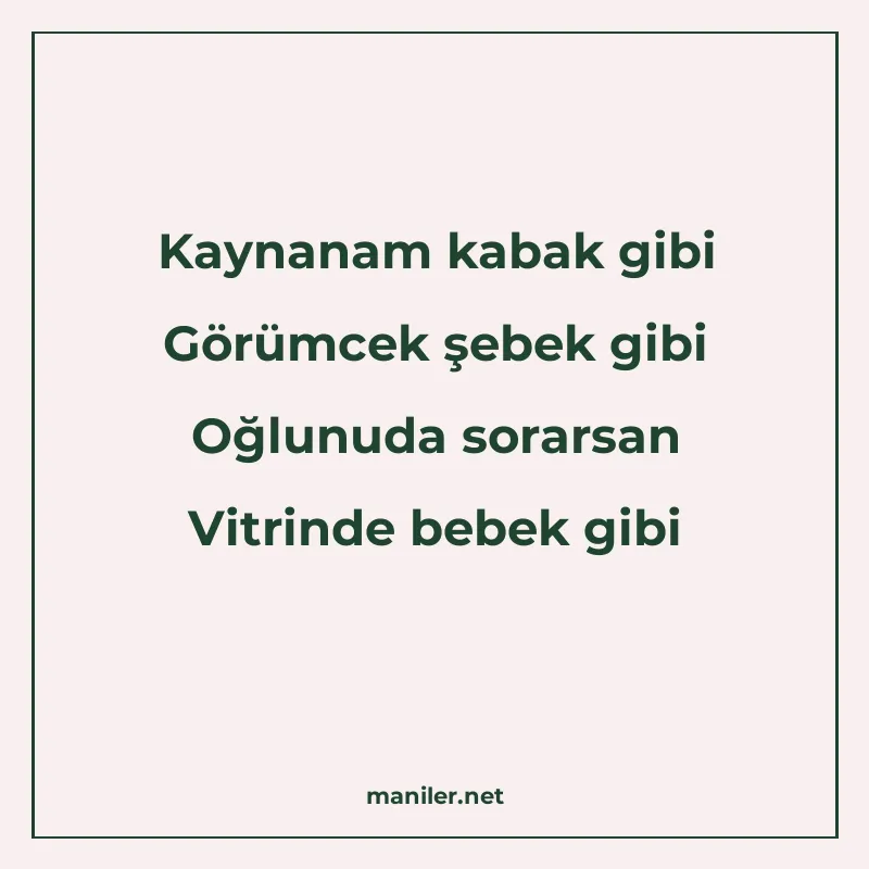 Kaynanam kabak gibi Görümcek şebek gibi Oğlunuda sorarsan Vi manisi görseli