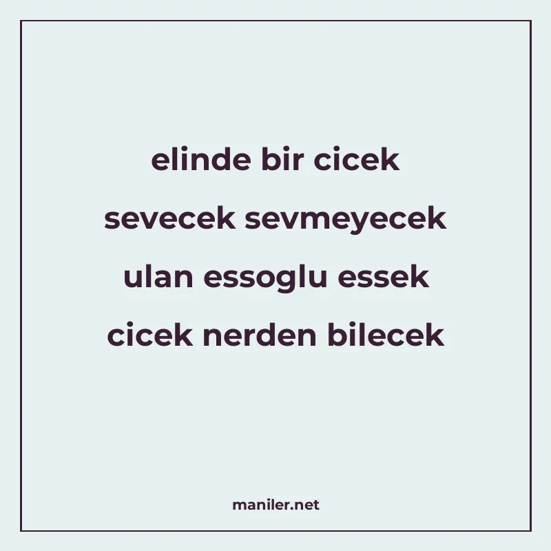 elinde bir cicek sevecek sevmeyecek ulan essoglu essek cicek manisi görseli