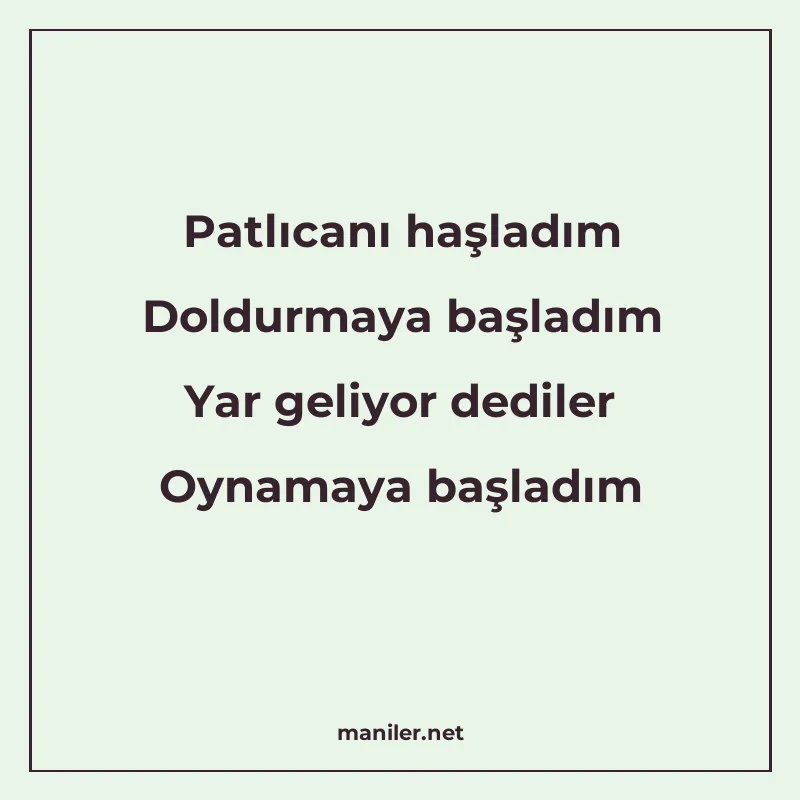 Patlıcanı haşladım Doldurmaya başladım Yar geliyor dediler O manisi görseli