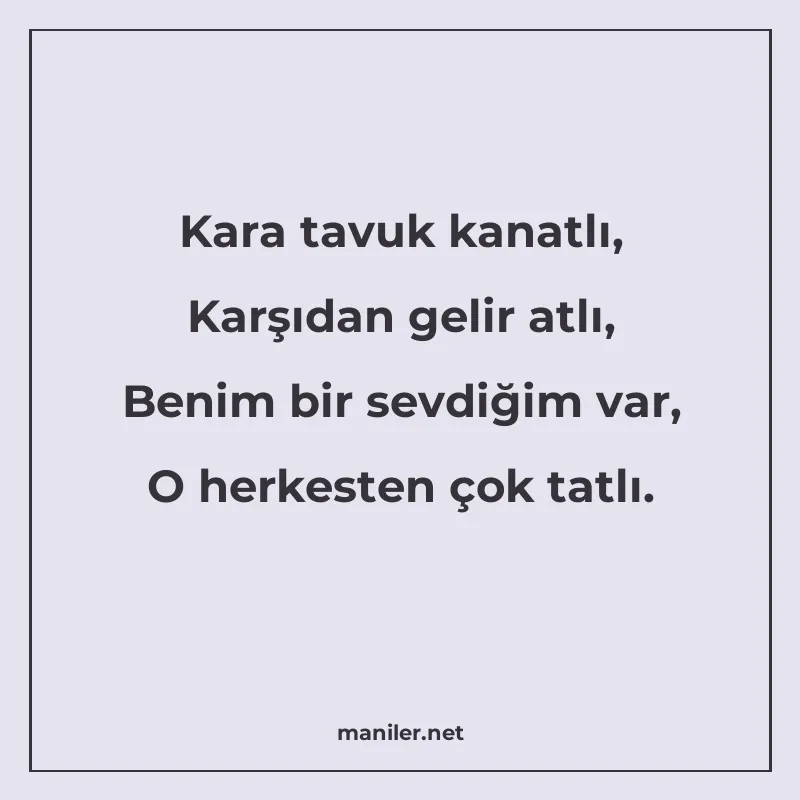 Kara tavuk kanatlı, Karşıdan gelir atlı, Benim bir sevdiğim manisi görseli
