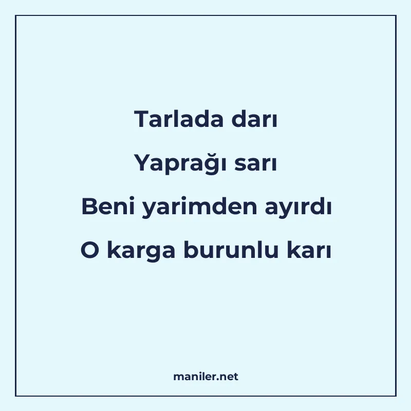 Tarlada darı Yaprağı sarı Beni yarimden ayırdı O karga burun manisi görseli