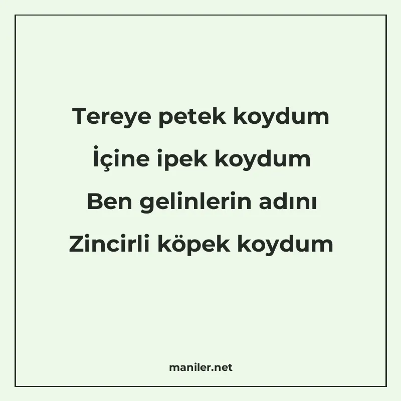 Tereye petek koydum İçine ipek koydum Ben gelinlerin adını Z manisi görseli