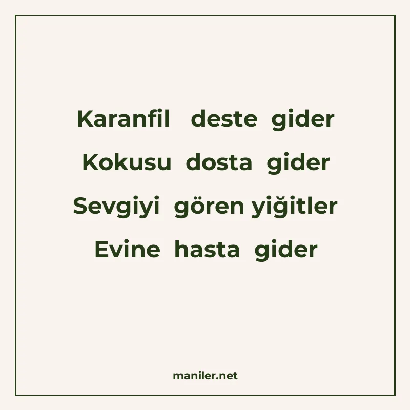 Karanfil deste gider Kokusu dosta gider Sevgiyi gören yiğitl manisi görseli