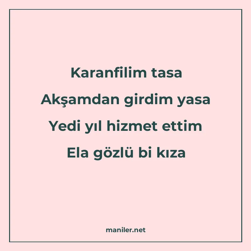 Karanfilim tasa Akşamdan girdim yasa Yedi yıl hizmet ettim E manisi görseli