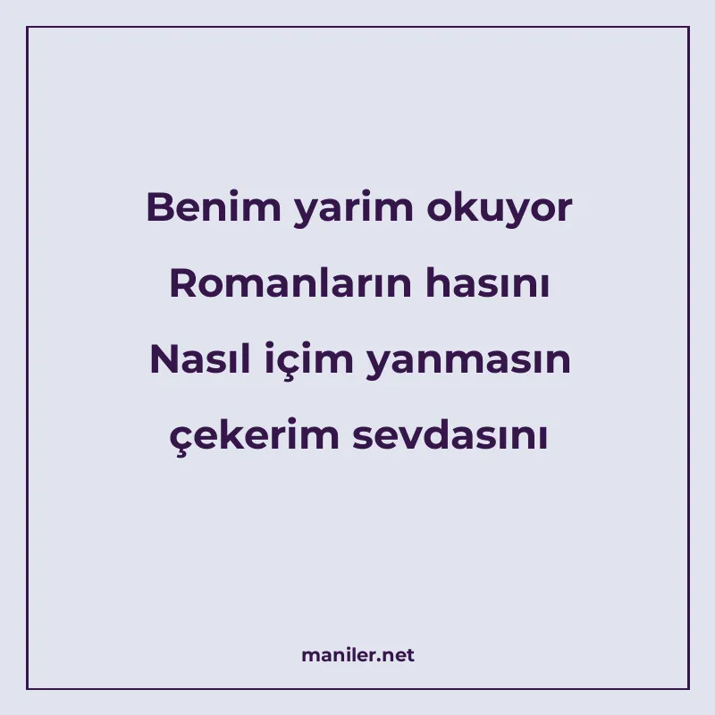 Benim yarim okuyor Romanların hasını Nasıl içim yanmasın çek manisi görseli