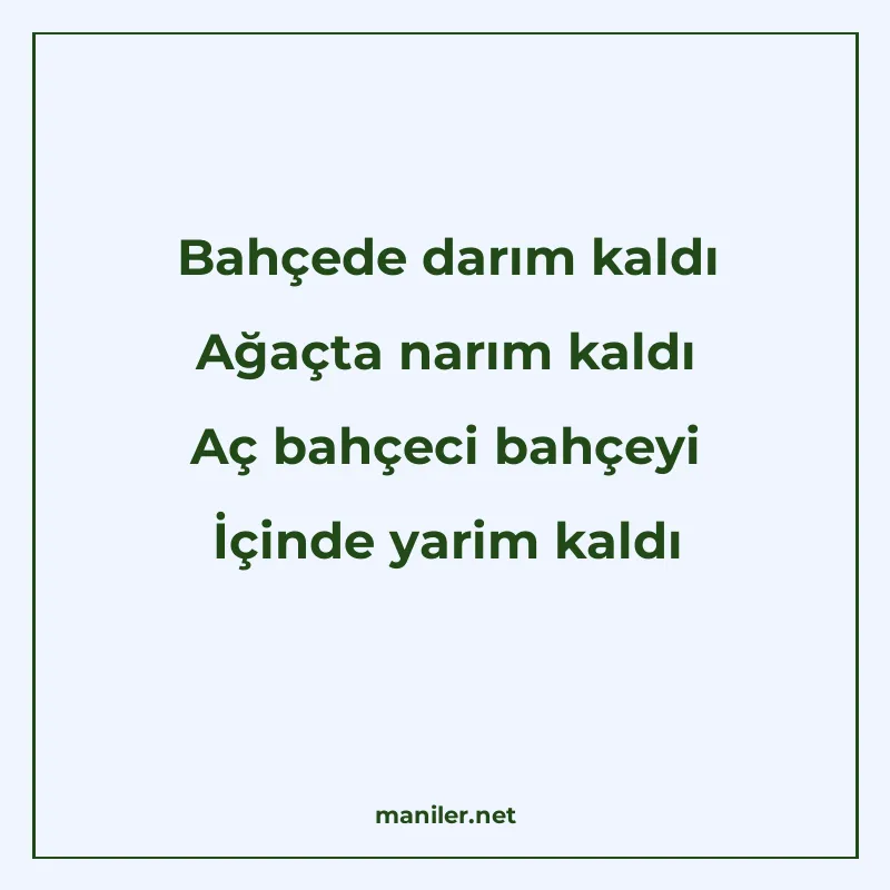 Bahçede darım kaldı Ağaçta narım kaldı Aç bahçeci bahçeyi İç manisi görseli