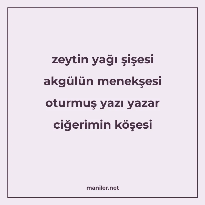 zeytin yağı şişesi akgülün menekşesi oturmuş yazı yazar ciğe manisi görseli