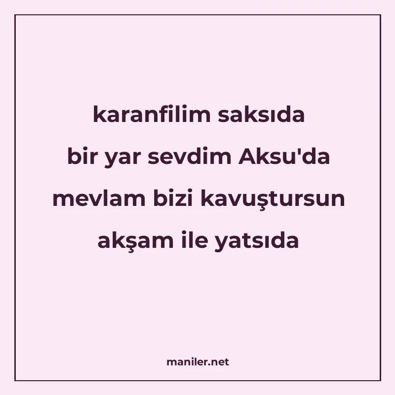 karanfilim saksıda bir yar sevdim Aksu'da mevlam bizi kavuşt manisi görseli