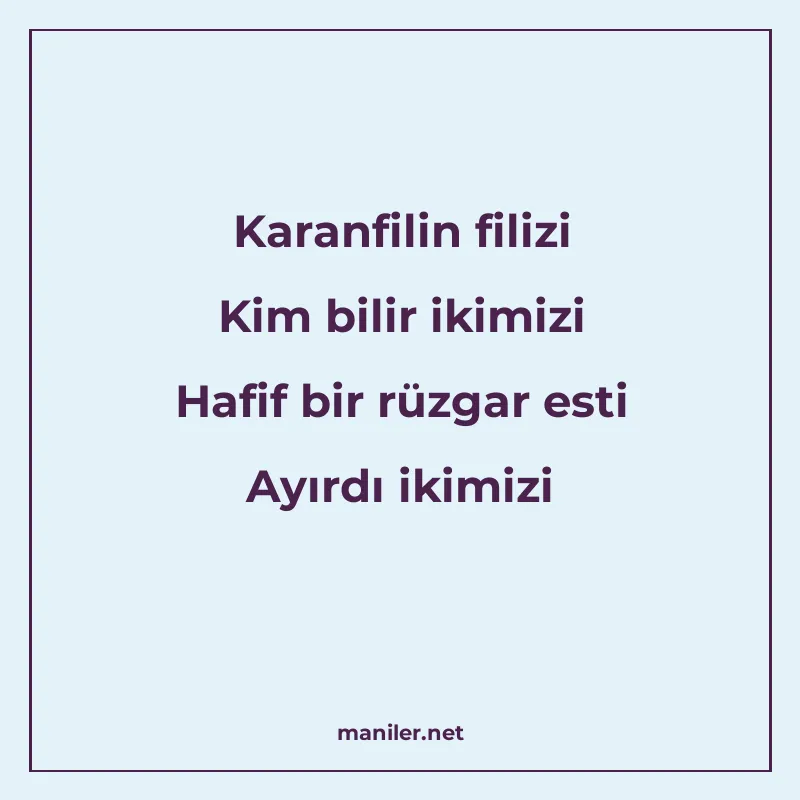 Karanfilin filizi Kim bilir ikimizi Hafif bir rüzgar esti Ay manisi görseli