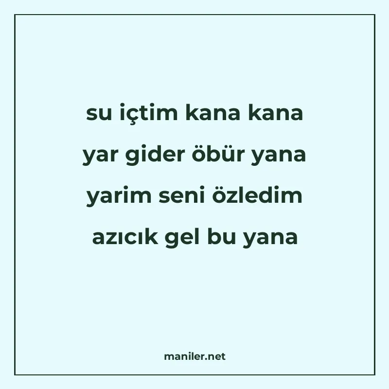 su içtim kana kana yar gider öbür yana yarim seni özledim az manisi görseli