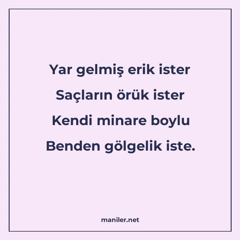 Yar gelmiş erik ister Saçların örük ister Kendi minare boylu manisi görseli