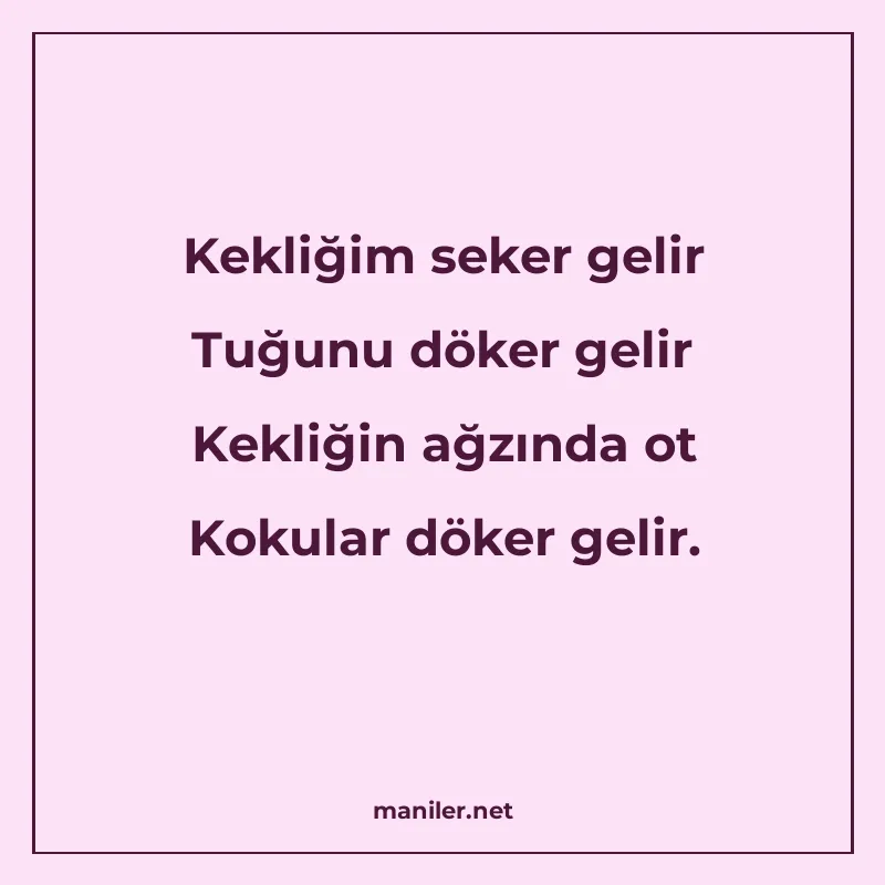 Kekliğim seker gelir Tuğunu döker gelir Kekliğin ağzında ot manisi görseli