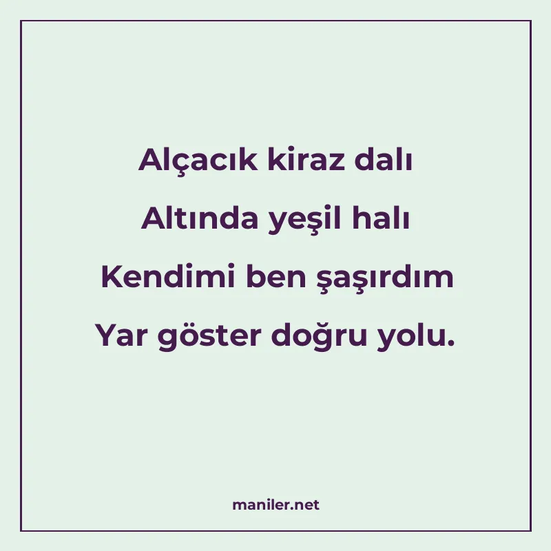 Alçacık kiraz dalı Altında yeşil halı Kendimi ben şaşırdım Y manisi görseli