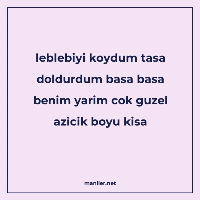 leblebiyi koydum tasa doldurdum basa basa benim yarim cok gu manisi görseli