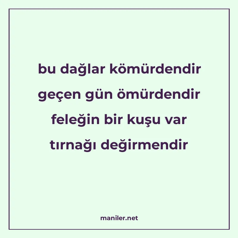 bu dağlar kömürdendir geçen gün ömürdendir feleğin bir kuşu manisi görseli