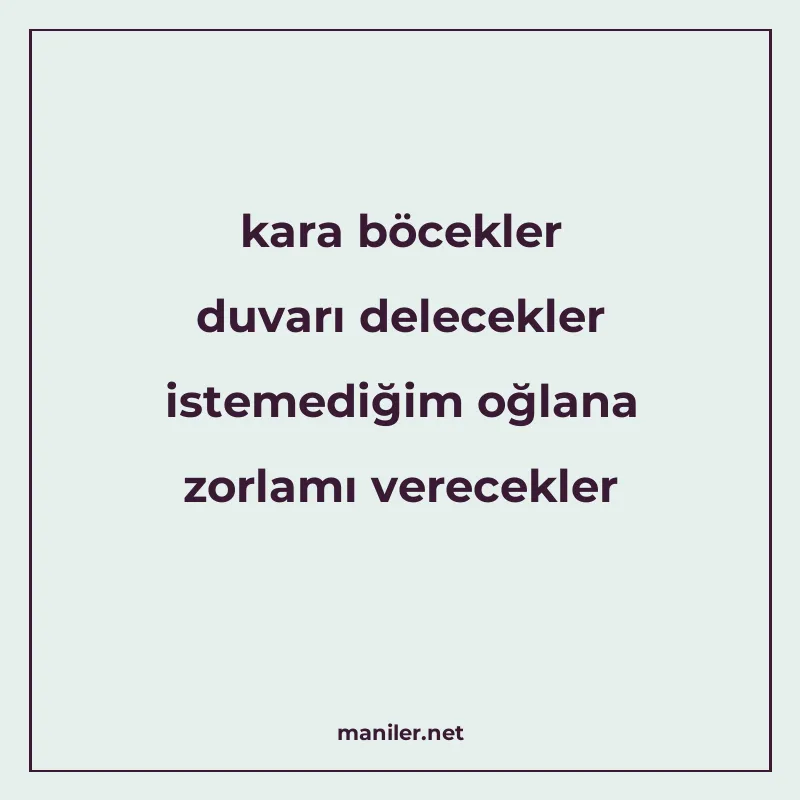 kara böcekler duvarı delecekler istemediğim oğlana zorlamı v manisi görseli