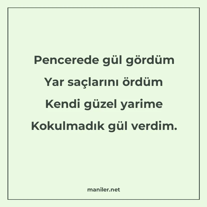 Pencerede gül gördüm Yar saçlarını ördüm Kendi güzel yarime manisi görseli