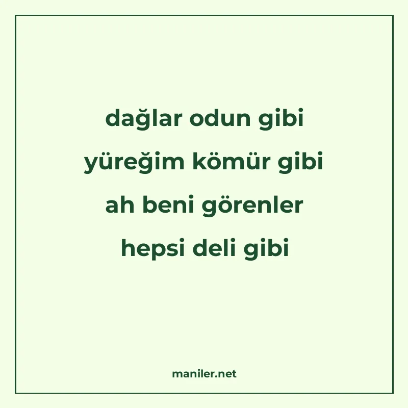 dağlar odun gibi yüreğim kömür gibi ah beni görenler hepsi d manisi görseli
