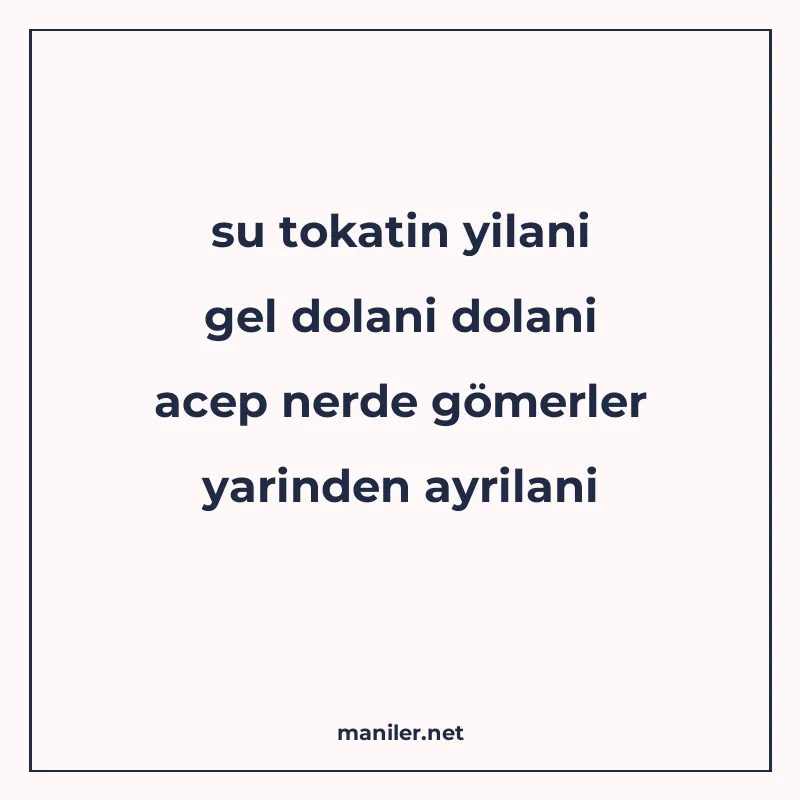 su tokatin yilani gel dolani dolani acep nerde gömerler yari manisi görseli