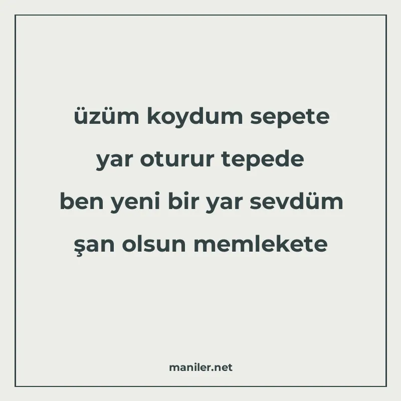 üzüm koydum sepete yar oturur tepede ben yeni bir yar sevdüm manisi görseli