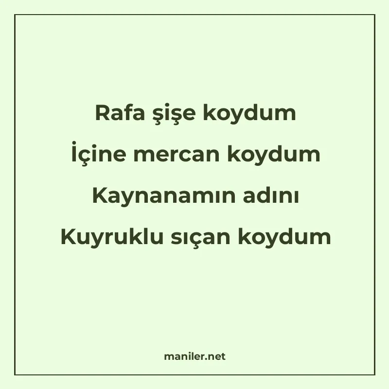 Rafa şişe koydum İçine mercan koydum Kaynanamın adını Kuyruk manisi görseli
