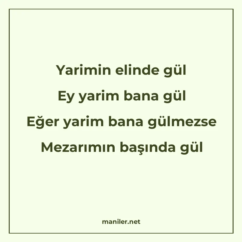 Yarimin elinde gül Ey yarim bana gül Eğer yarim bana gülmezs manisi görseli