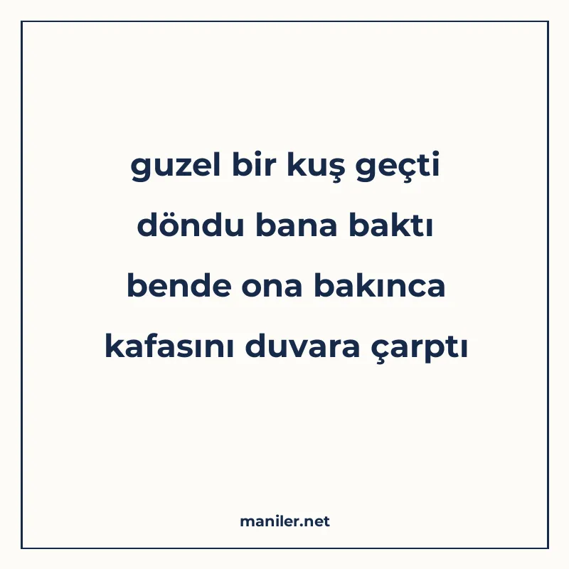 guzel bir kuş geçti döndu bana baktı bende ona bakınca kafas manisi görseli