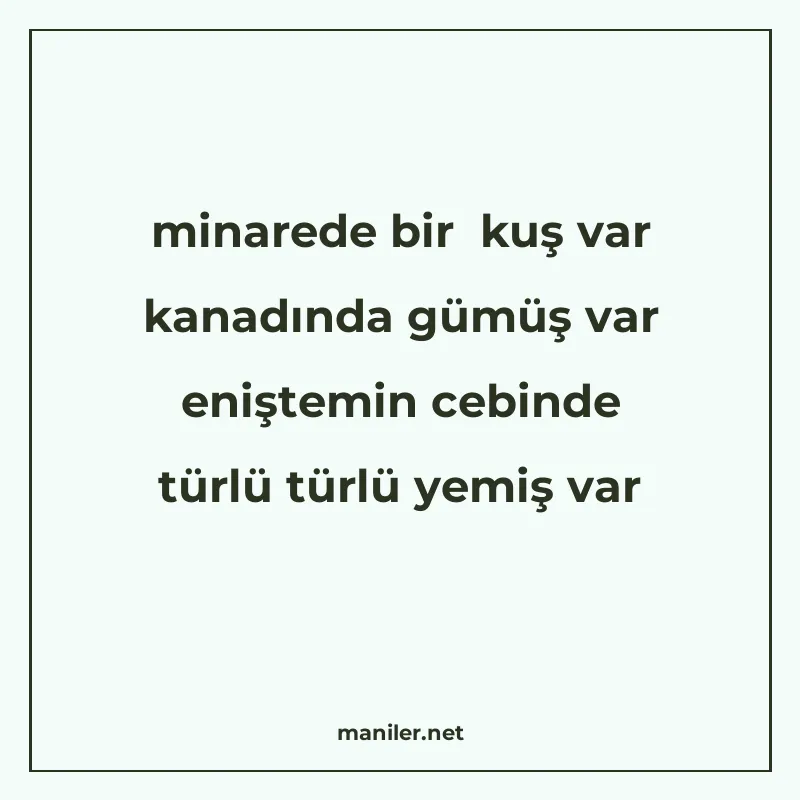 minarede bir kuş var kanadında gümüş var eniştemin cebinde t manisi görseli