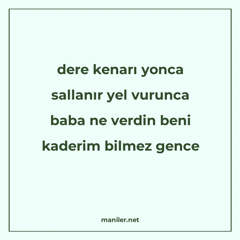 dere kenarı yonca sallanır yel vurunca baba ne verdin beni k manisi görseli