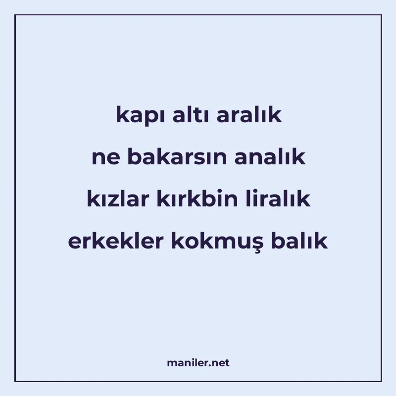 kapı altı aralık ne bakarsın analık kızlar kırkbin liralık e manisi görseli