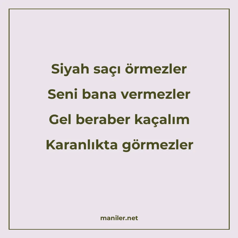 Siyah saçı örmezler Seni bana vermezler Gel beraber kaçalım manisi görseli