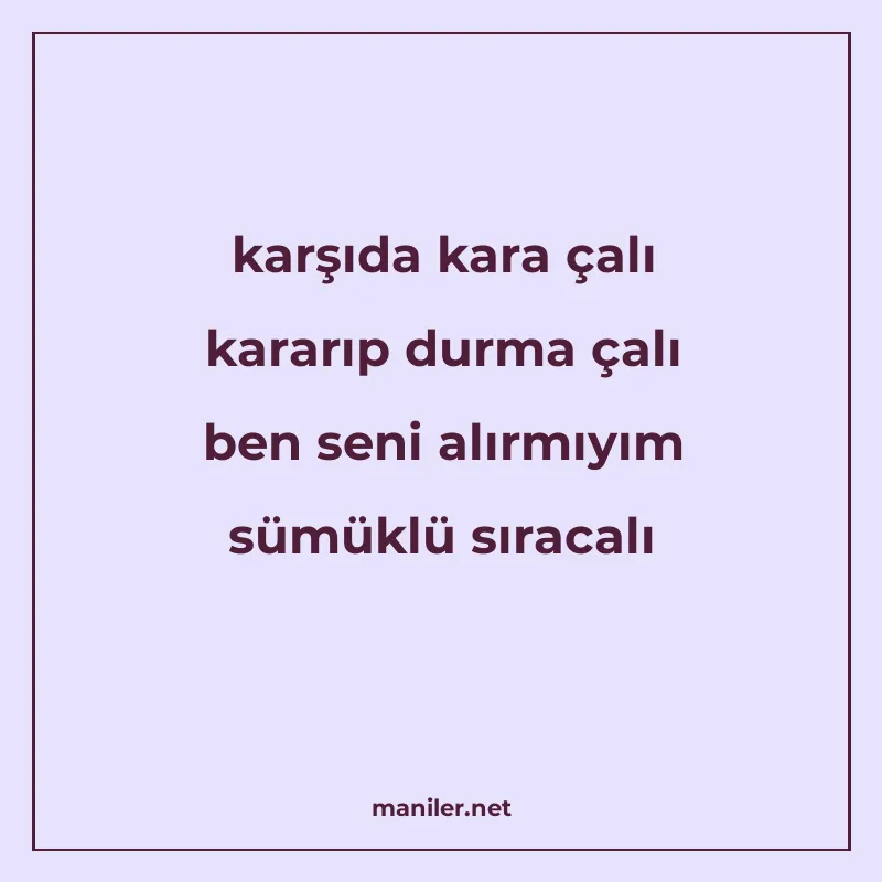 karşıda kara çalı kararıp durma çalı ben seni alırmıyım sümü manisi görseli