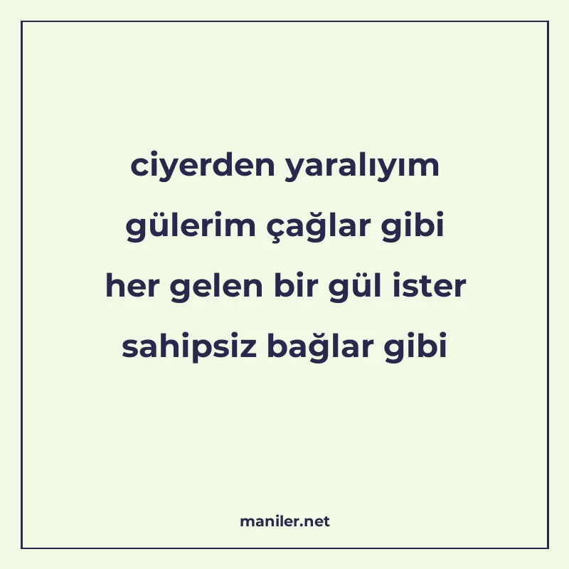 ciyerden yaralıyım gülerim çağlar gibi her gelen bir gül ist manisi görseli