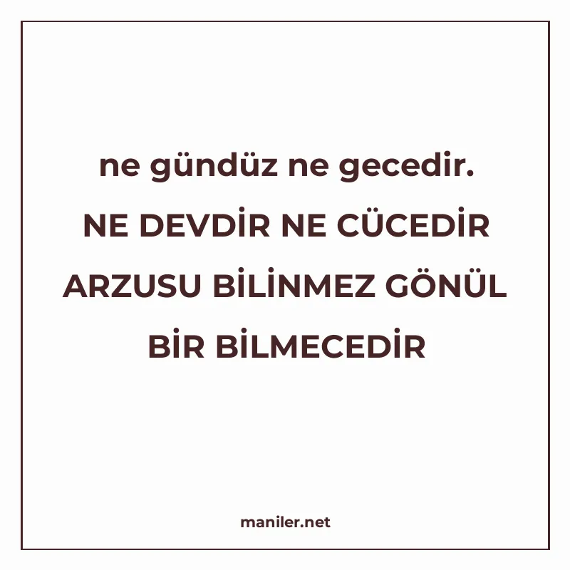 ne gündüz ne gecedir. NE DEVDİR NE CÜCEDİR ARZUSU BİLİNMEZ G manisi görseli