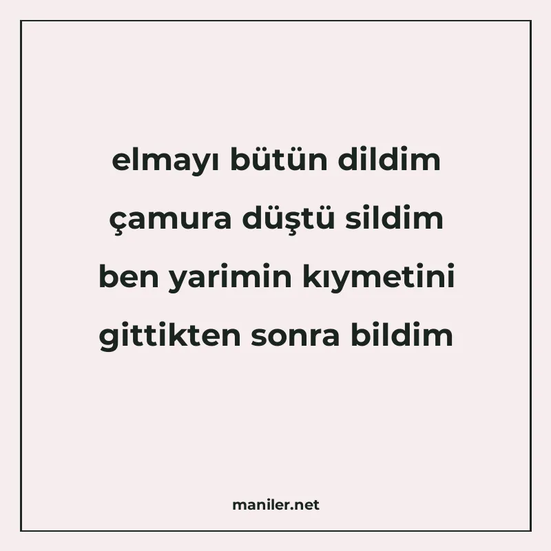 elmayı bütün dildim çamura düştü sildim ben yarimin kıymetin manisi görseli