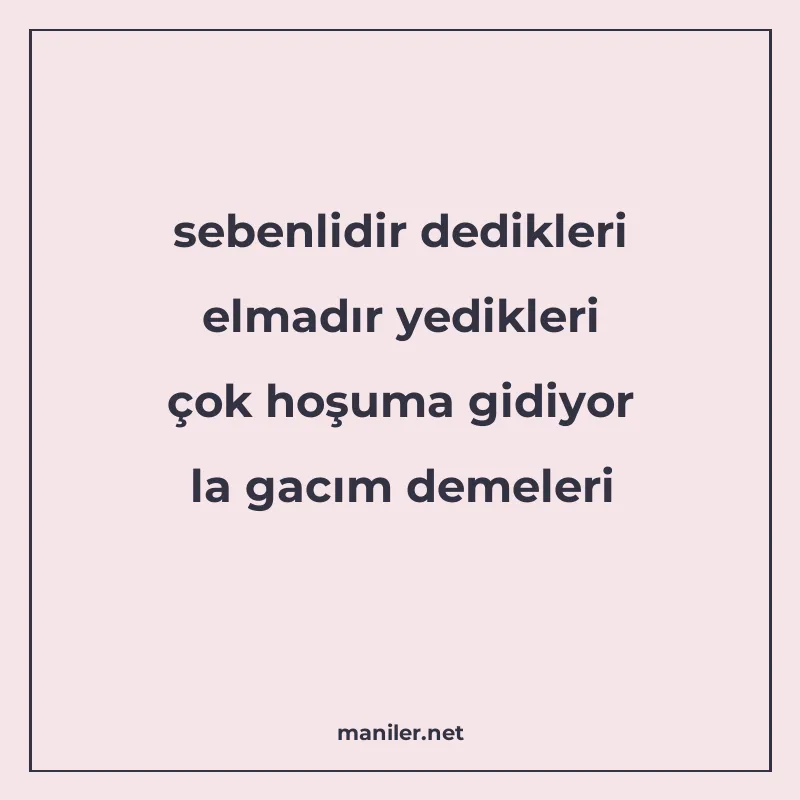 sebenlidir dedikleri elmadır yedikleri çok hoşuma gidiyor la manisi görseli